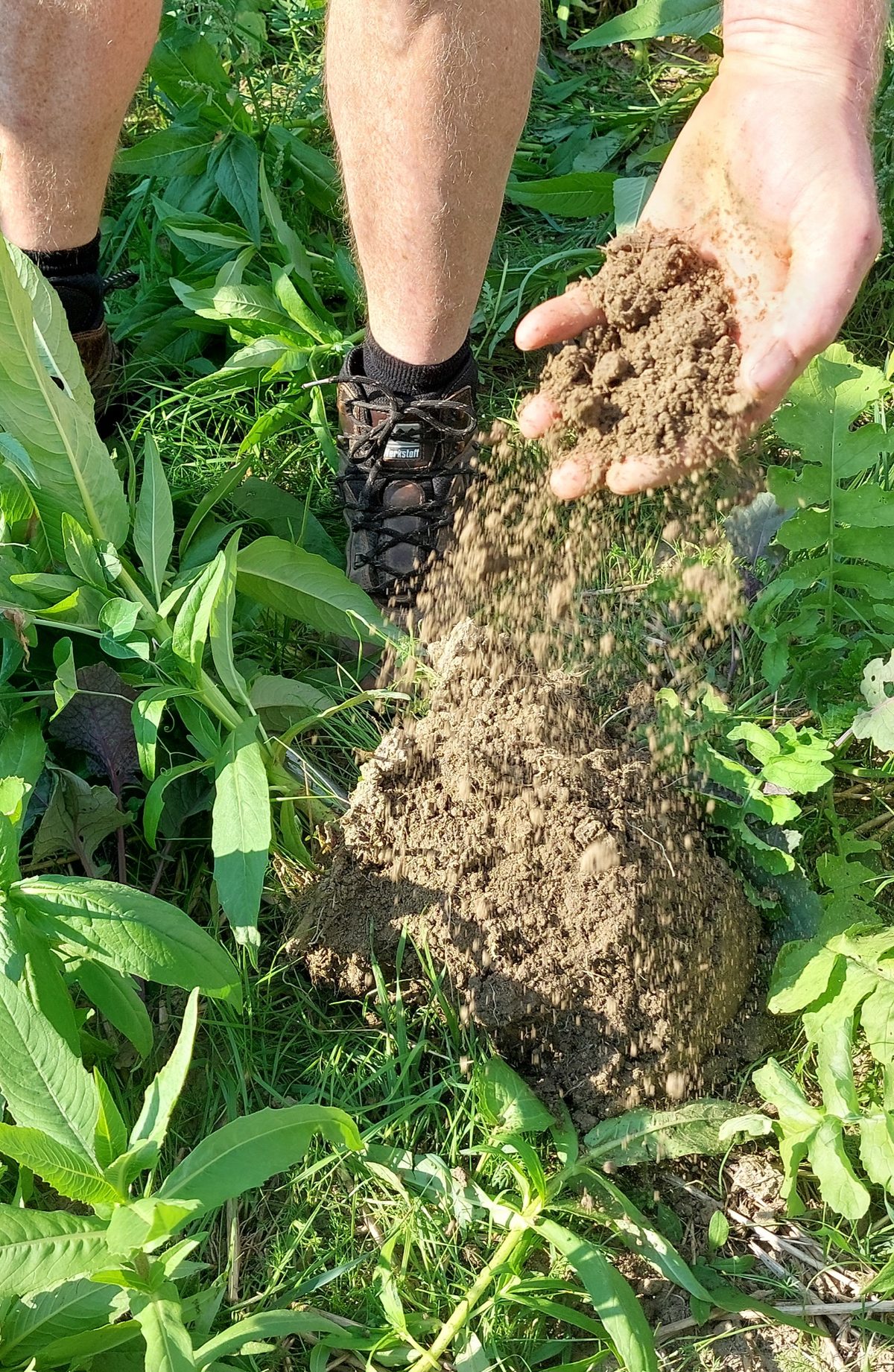 Webinar-Reihe Regenerative Landwirtschaft