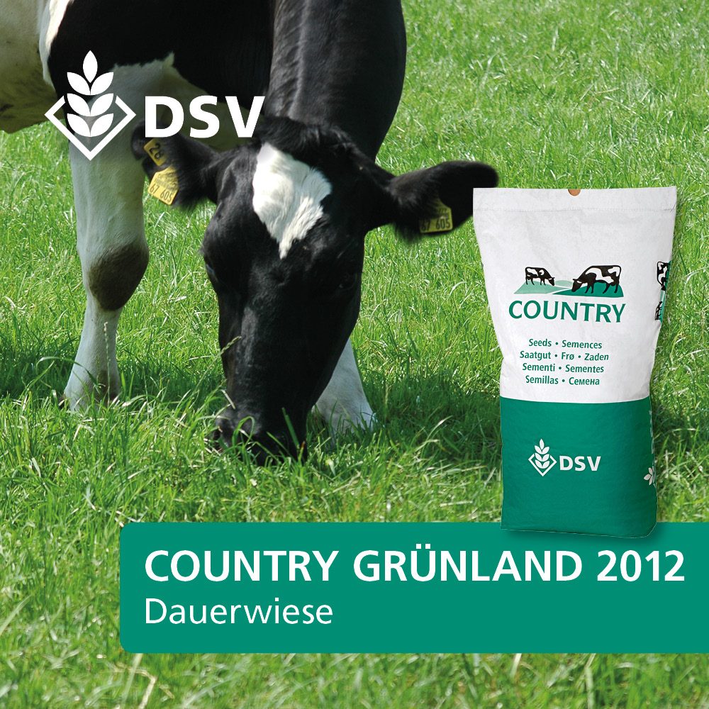 COUNTRY 2012 Dauerwiese (DSV)