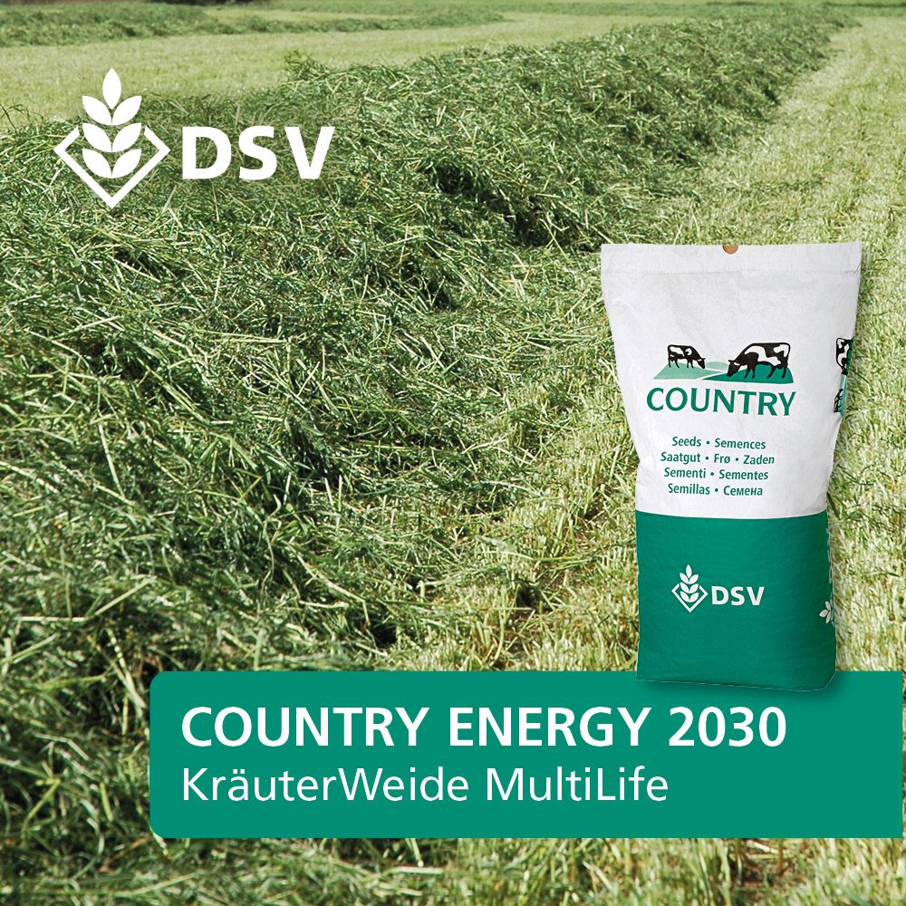 COUNTRY 2030 Kräuterweide (DSV)