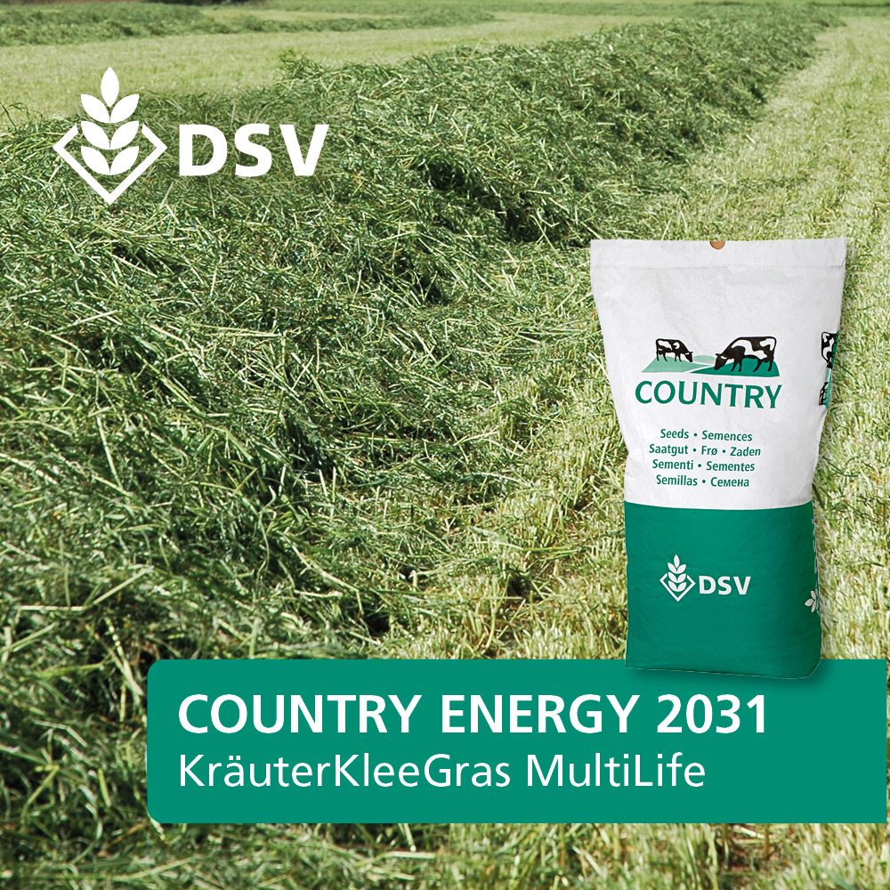 COUNTRY 2031 KräuterKleeGras (DSV)