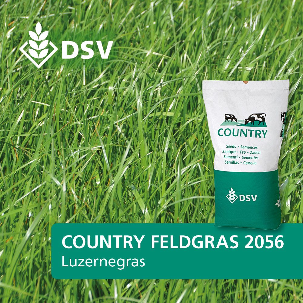 COUNTRY 2056 Luzernegras (DSV)
