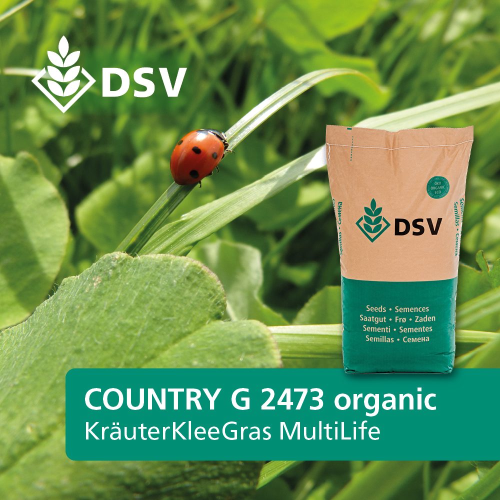 COUNTRY 2473 Kräuterkleegras (100 % Bio, DSV)