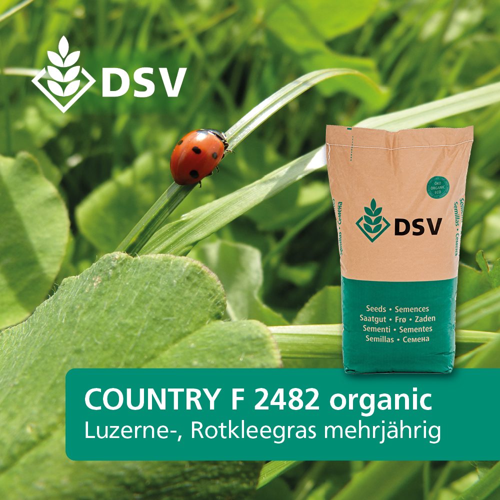 COUNTRY 2482 Luzerne Rotkleegras mehrjährig (100 % Bio, DSV)