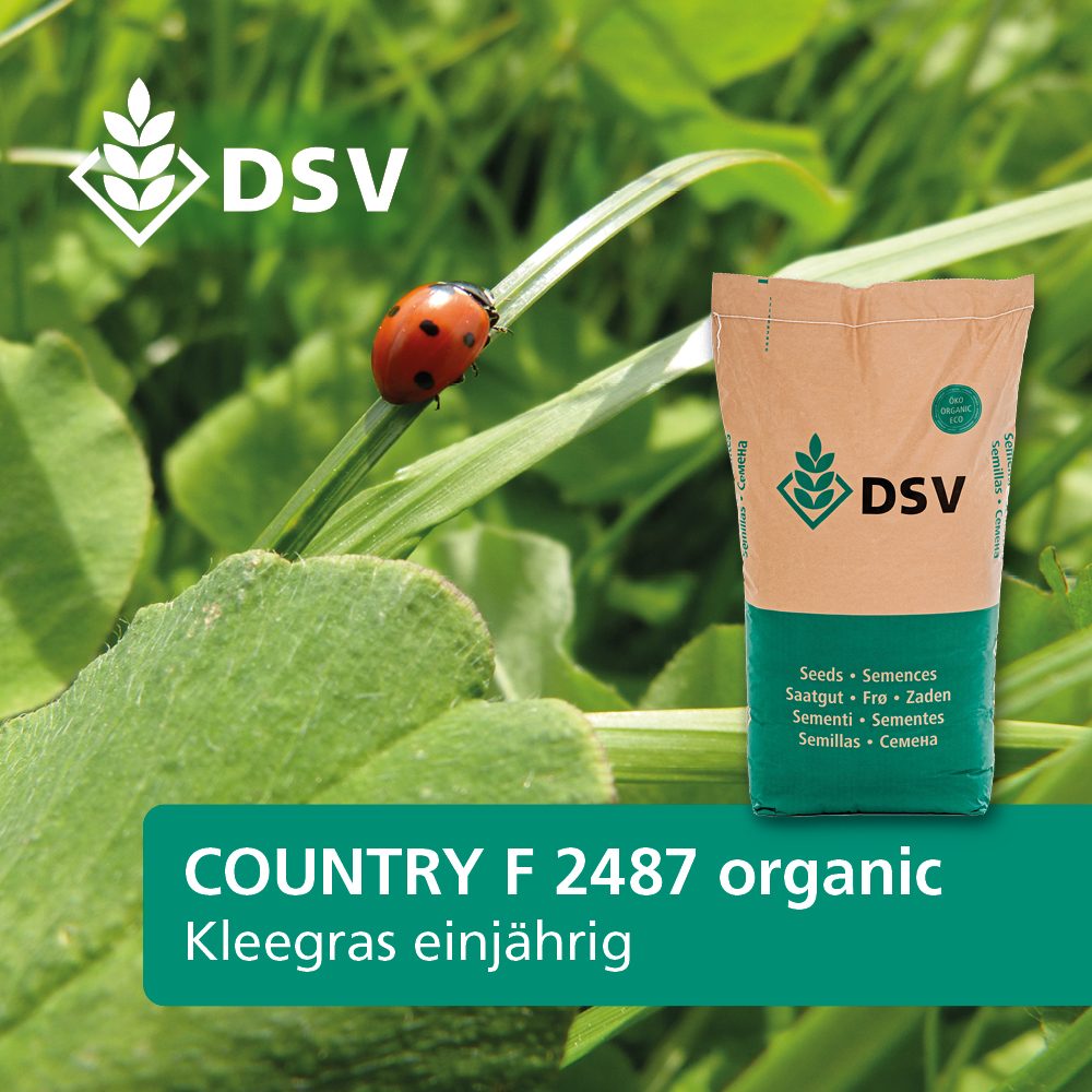 COUNTRY 2487 Kleegras einjährig (100 % Bio, DSV)