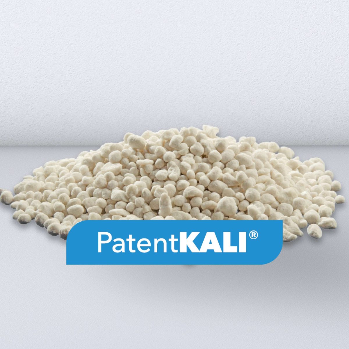 PatentKali [30er Kali]
