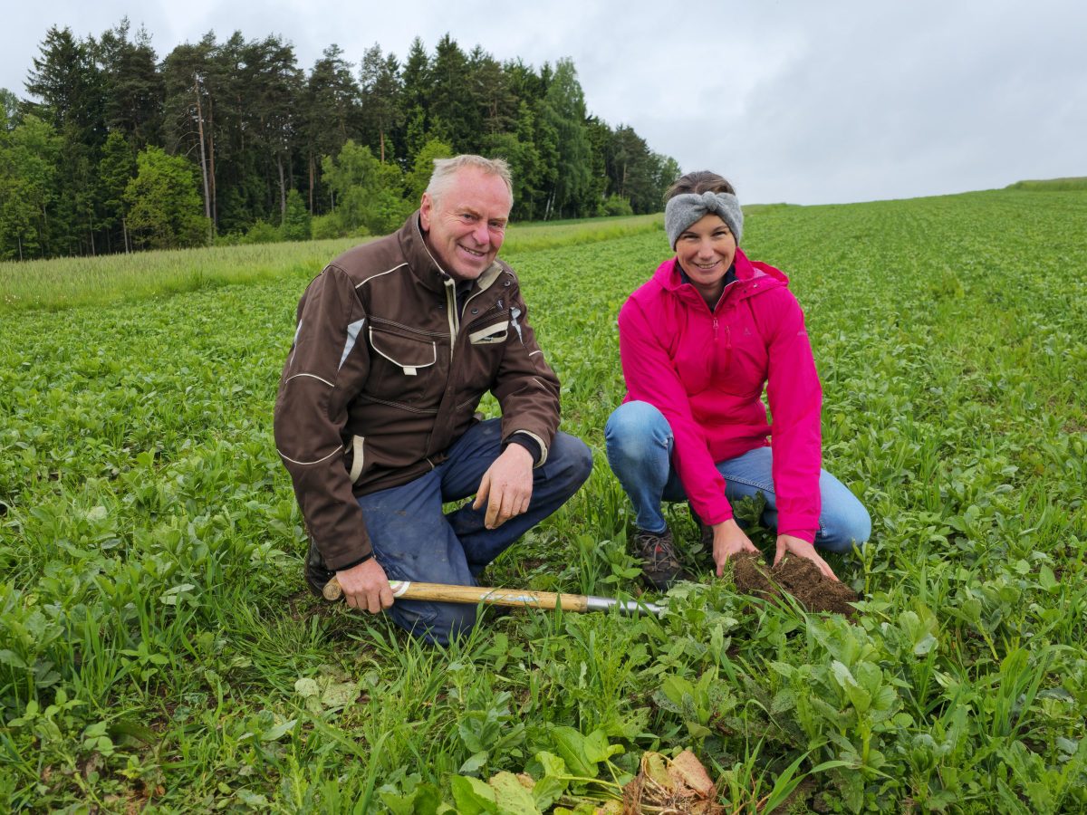 Online-Seminar Albrecht/Kinsey-Bodenanalyse