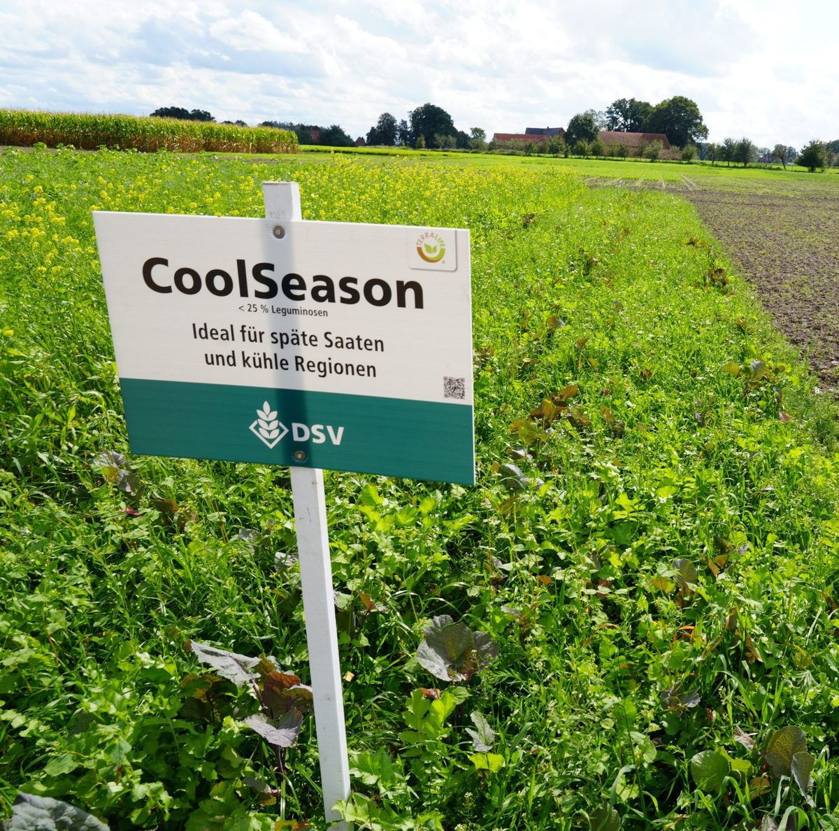 TerraLife CoolSeason (DSV)