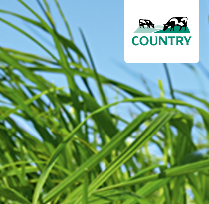 COUNTRY 2117 Neuanalgen Pferdegreen (DSV)