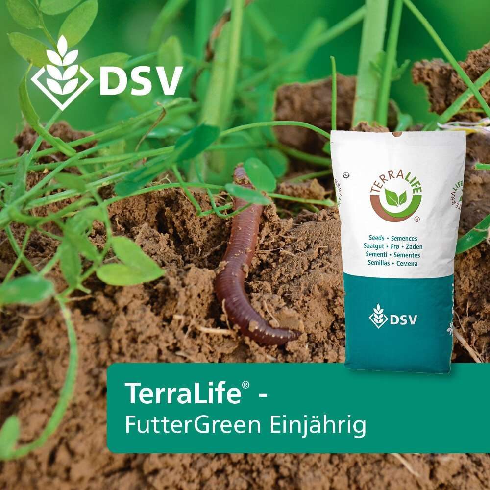 Futtergreen einjährig (DSV)